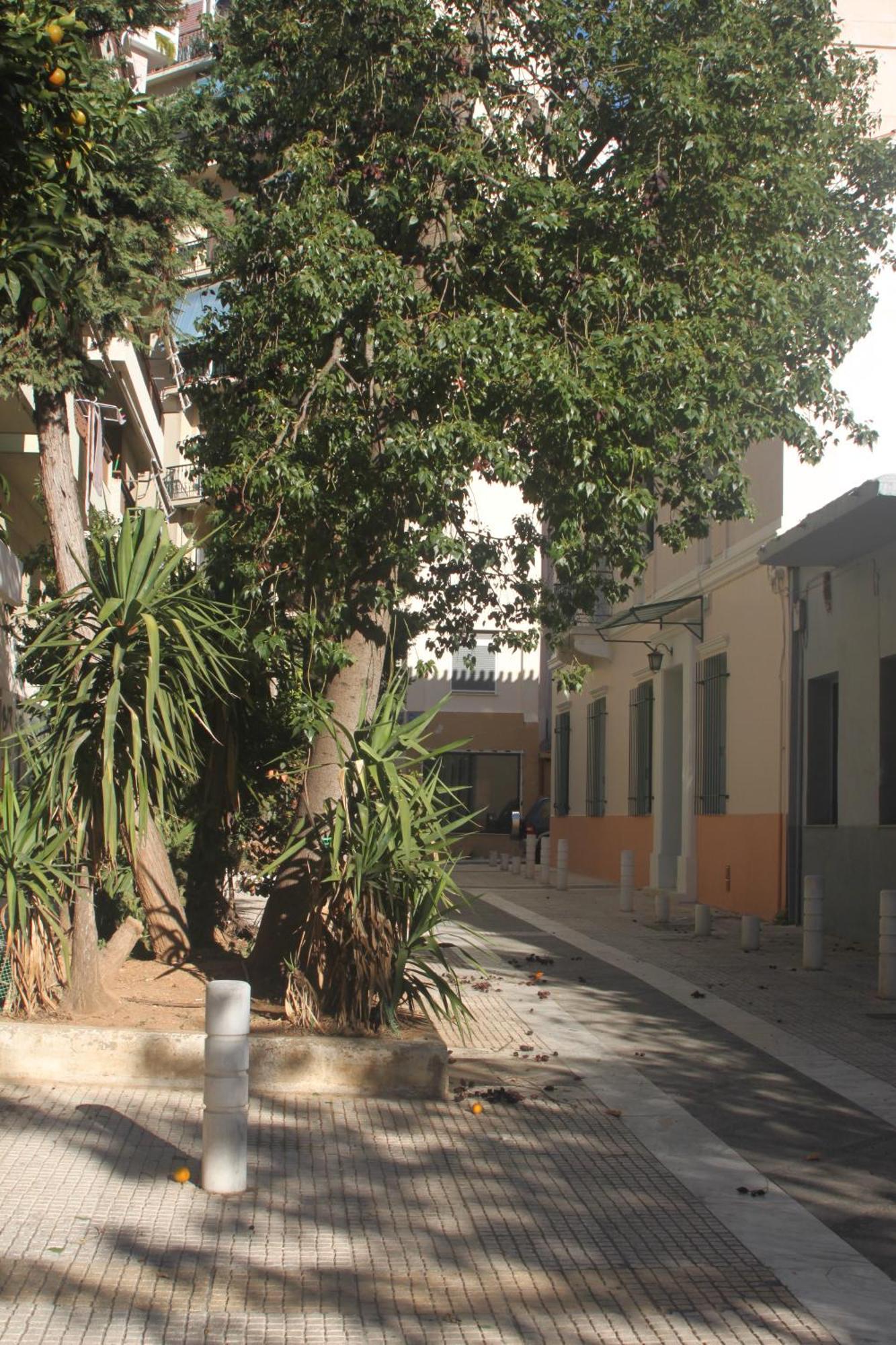 "Under The Olive Tree"- Beautiful Apartment In The Heart Of Atény Exteriér fotografie